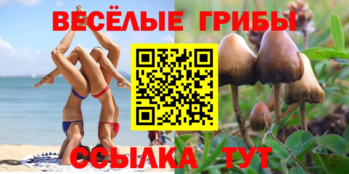 Галлюциногенные грибы GOLDEN TEACHER Сергиев Посад