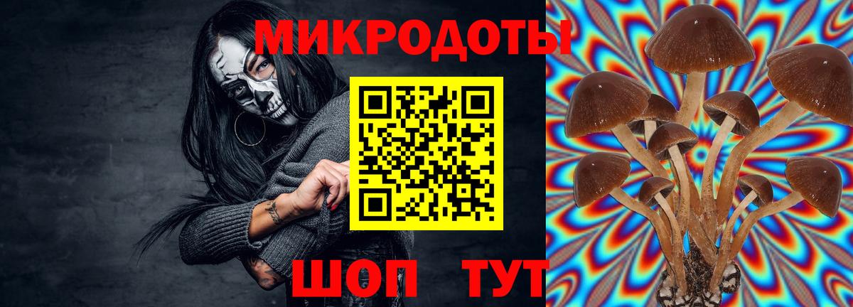 Галлюциногенные грибы Psilocybe  Вход с VPN  Сергиев Посад 